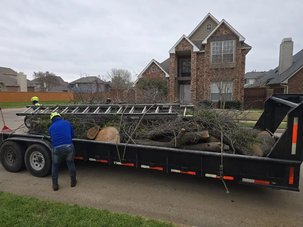Expert Lot Clearing with proper safety equipment in Haileyville